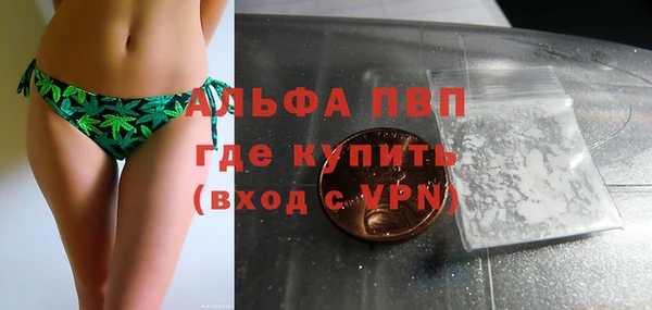 шишки Рославль