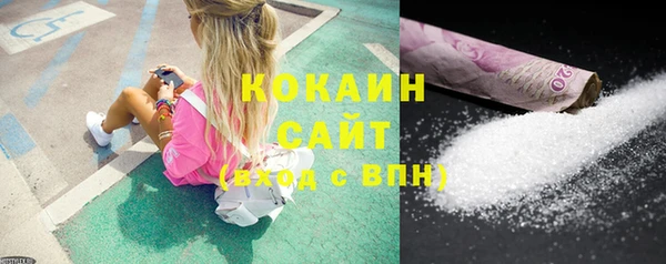 шишки Рославль