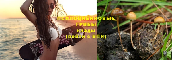 дмт Россошь