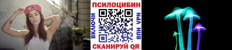 купить закладку  Сергач  Галлюциногенные грибы мухоморы 